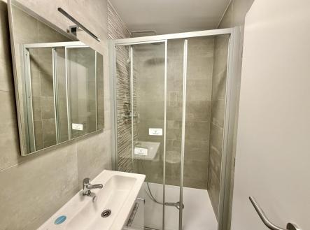 Pronájem bytu, 1+kk, 28 m²