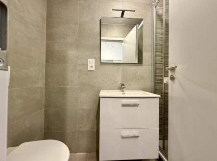 Pronájem bytu, 1+kk, 28 m²