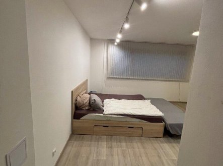 Pronájem bytu 1+kk, 30 m², Praha 6  Divoká Šárka