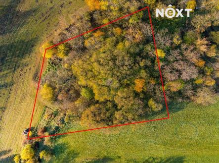 Prodej pozemku, zahrada, 1 197 m²