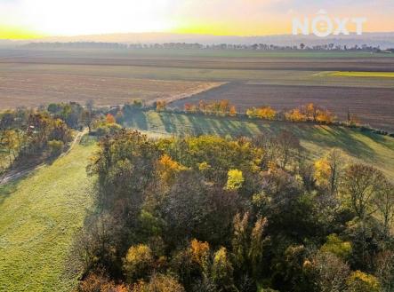 Prodej pozemku, zahrada, 1 197 m²