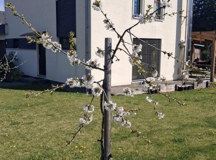 Prodej domu/vily, 110 m²