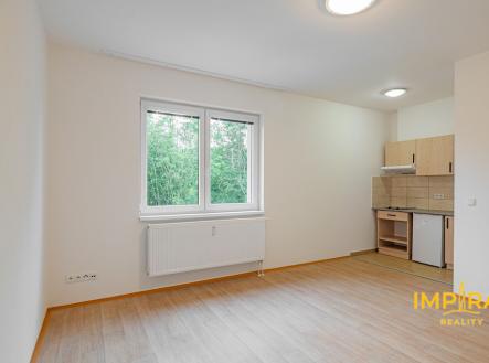 Pronájem bytu, 1+kk, 29 m²