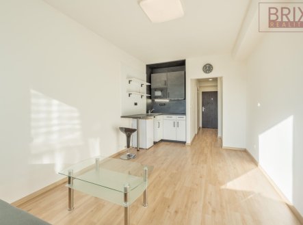Pronájem bytu, 1+kk, 25 m²