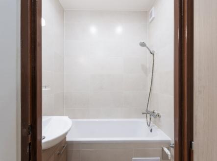 Pronájem bytu, 2+1, 54 m²