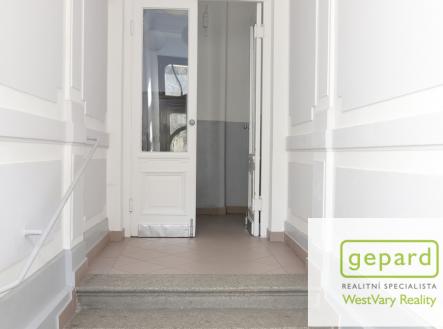 Pronájem obchodní prostor, 66 m²