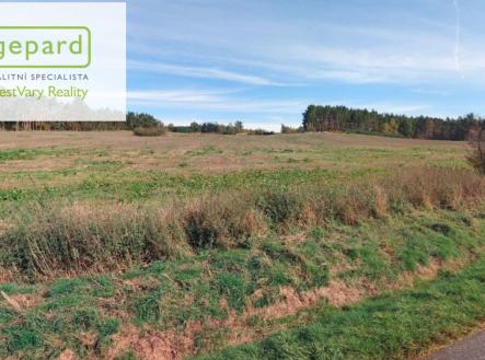 Prodej pozemku, zemědělská půda, 43 500 m²