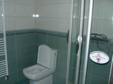 Pronájem bytu, 1+kk, 39 m²