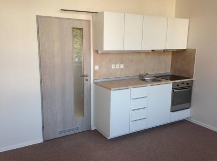 Pronájem bytu, 1+kk, 31 m²