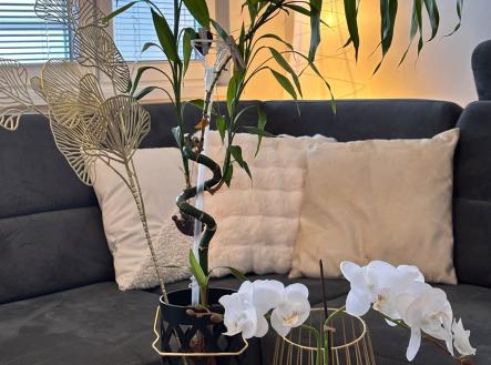 Prodej bytu, 3+kk, 101 m²