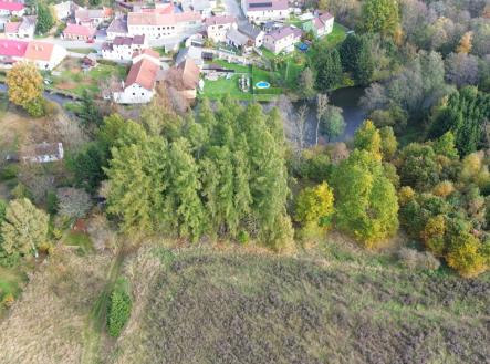 Prodej pozemku, les, 986 m²