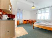 Pronájem bytu, 1+kk, 16 m²