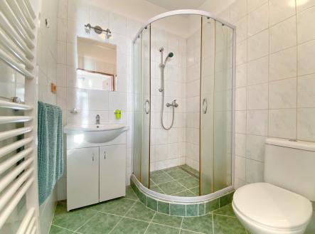 Pronájem bytu, 1+kk, 16 m²