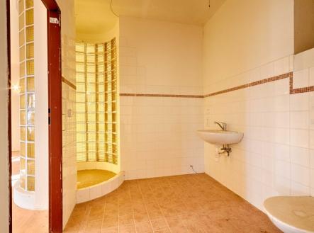 Prodej domu/vily, 520 m²