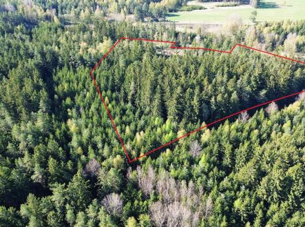 Prodej pozemku, les, 32 111 m²