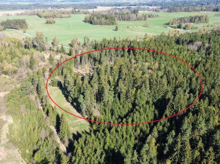 Prodej pozemku, les, 32 111 m²