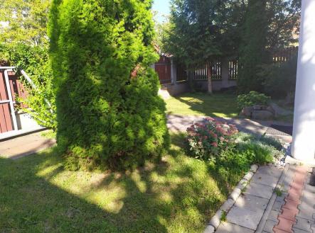 Pronájem domu/vily, 230 m²