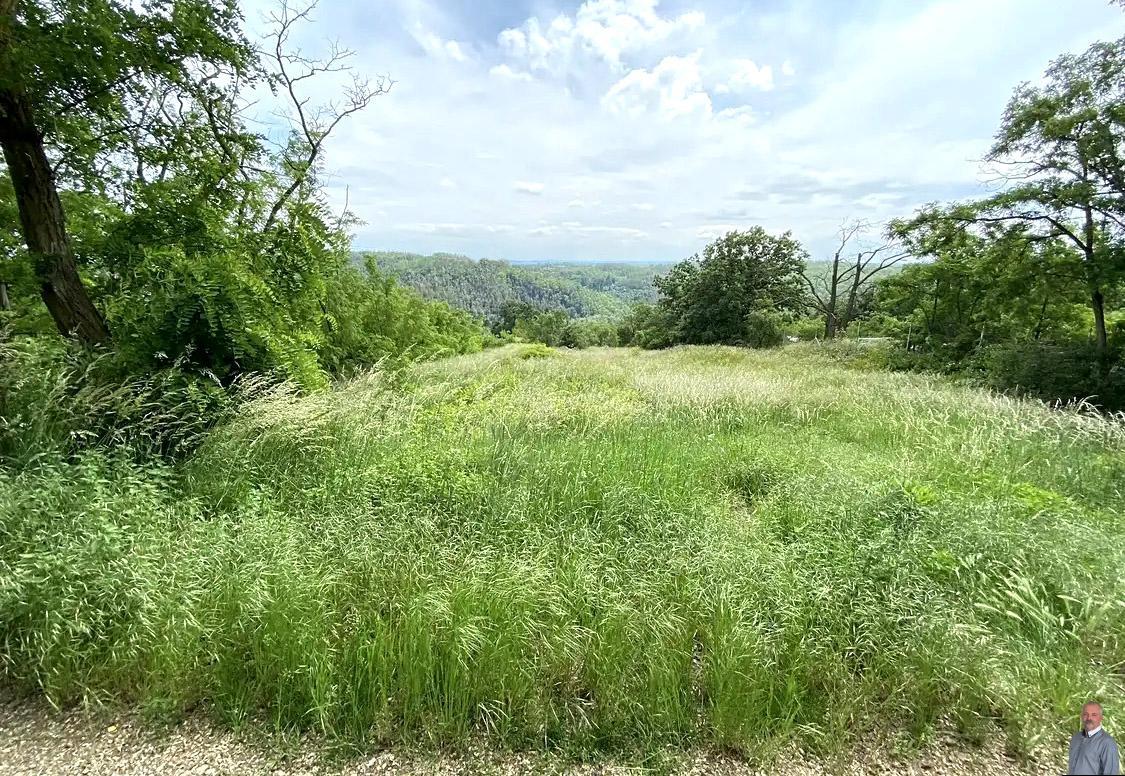 Nebovidy od cesty.jpg