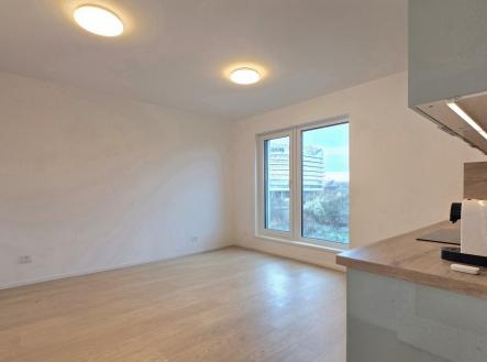 Pronájem bytu, 1+kk, 25 m² obrázek