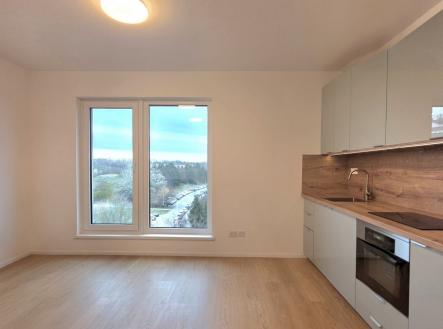 Pronájem bytu, 1+kk, 25 m²