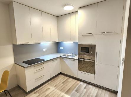 Pronájem bytu, 1+kk, 52 m²