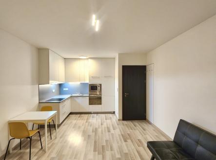 Pronájem bytu, 1+kk, 52 m²