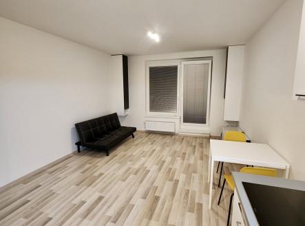Pronájem bytu, 1+kk, 52 m²