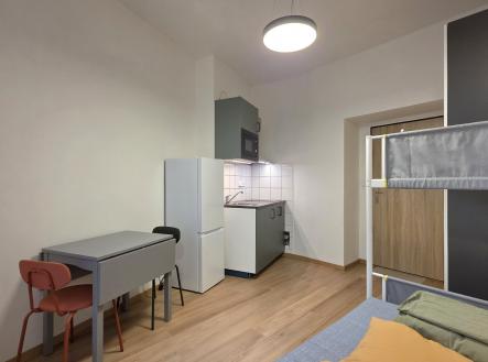 Pronájem bytu, 1+kk, 16 m²