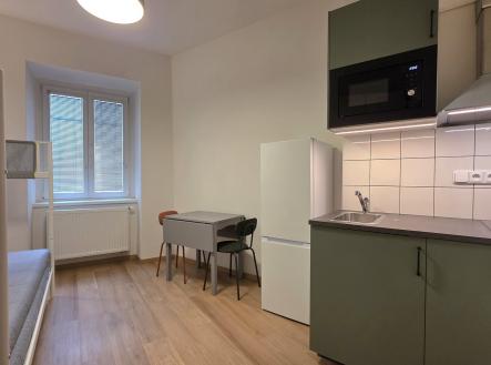Pronájem bytu, 1+kk, 16 m²