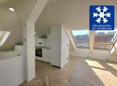 Pronájem bytu, 1+kk, 48 m²