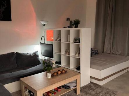 Pronájem bytu, 1+kk, 28 m²