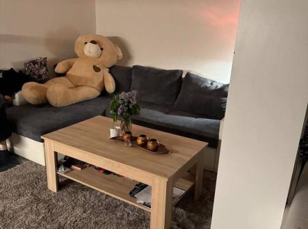 Pronájem bytu, 1+kk, 28 m²