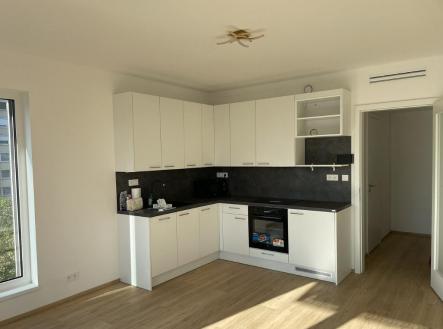 Pronájem bytu, 1+kk, 34,4 m²