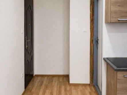 Pronájem bytu, 1+kk, 30 m², Strančice – náhled fotky 3