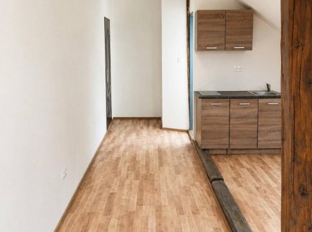 Pronájem bytu, 1+kk, 30 m², Strančice – náhled fotky 4