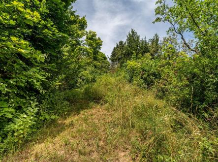 Prodej pozemku, zahrada, 529 m²