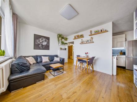 Prodej bytu, 2+kk, 39 m²