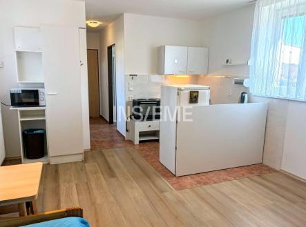 Pronájem bytu, 1+kk, 30 m²