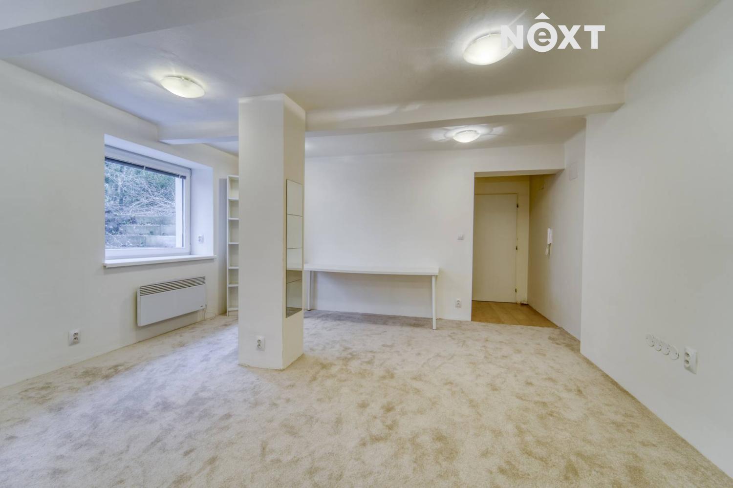 Pronájem byt 1+kk, 44㎡