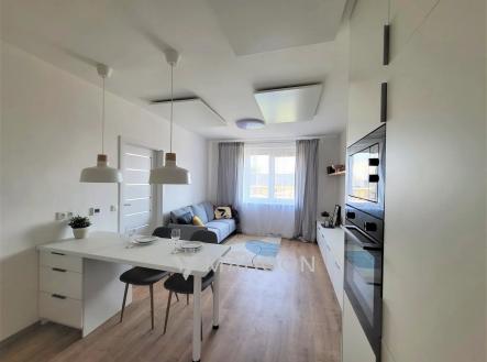 Pronájem bytu, 1+kk, 47 m²