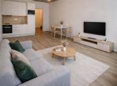 Pronájem bytu, 1+kk, 36 m²