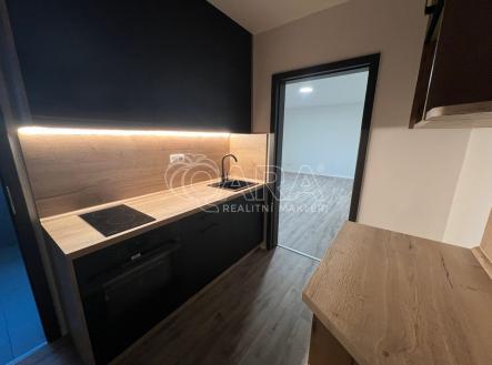 Pronájem bytu, 1+1, 39 m²