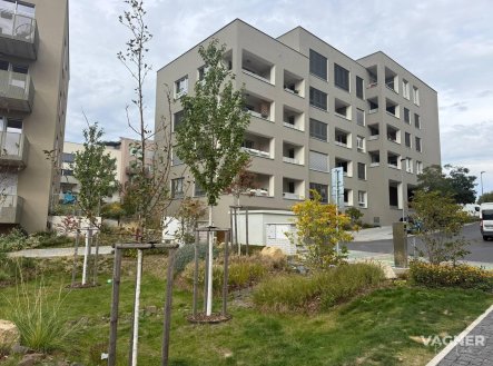 Nemovitost