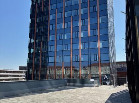 Pronájem kanceláře, 240 m²