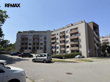 Pronájem bytu, 1+kk, 55 m²