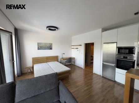 Pronájem bytu, 1+kk, 55 m²