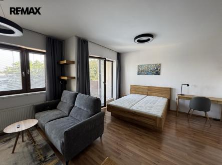 Pronájem bytu, 1+kk, 55 m²