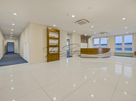 Pronájem obchodní prostor, 2 300 m²