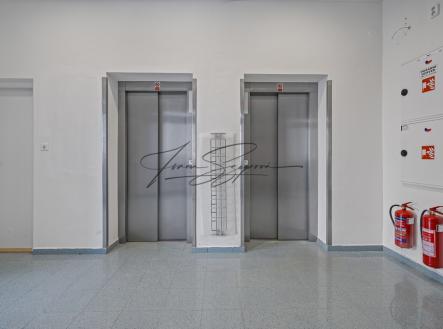 Pronájem obchodní prostor, 2 300 m²