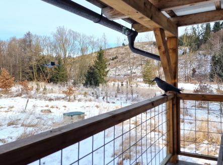 Prodej pozemku, ostatní, 12 118 m²